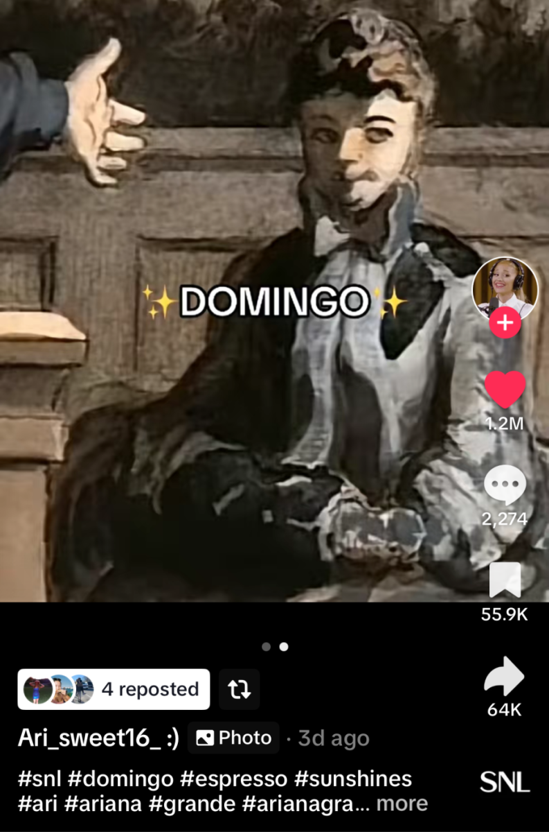 Screenshot from TikTok