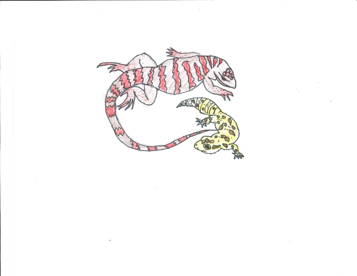 Stone Larsons Tegu and Gecko drawn